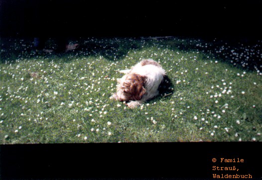 Film_0_Griffo_07_JPG.jpg