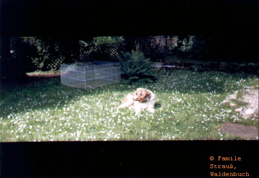 Film_0_Griffo_08_JPG.jpg