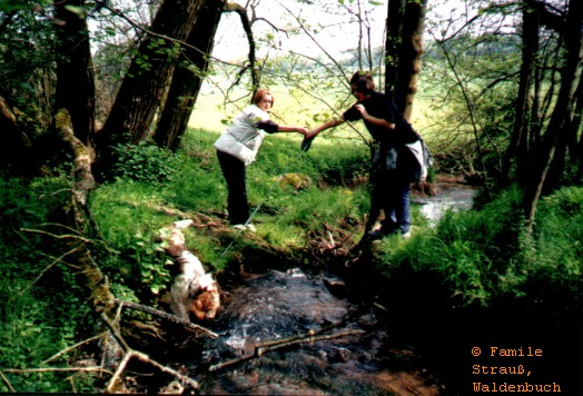 Film_1_Griffo_02_JPG.jpg