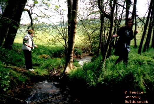 Film_1_Griffo_03_JPG.jpg