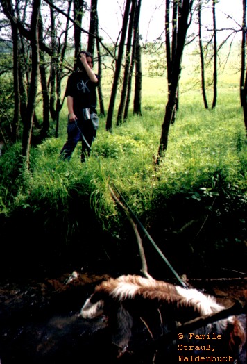 Film_1_Griffo_04_JPG.jpg