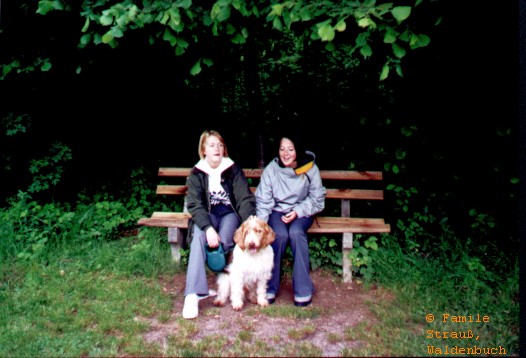 Film_2_Griffo_03_JPG.jpg