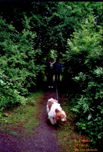 Film_2_Griffo_04_JPG.jpg