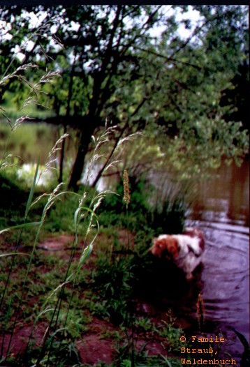 Film_2_Griffo_06_JPG.jpg