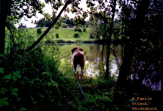 Film_2_Griffo_07_JPG.jpg